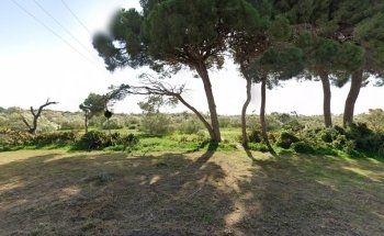 Pinar El Almendral