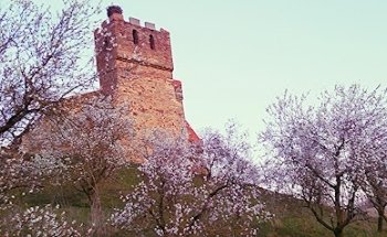 La Torre