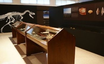 Colección Museográfica JMR (Millares)