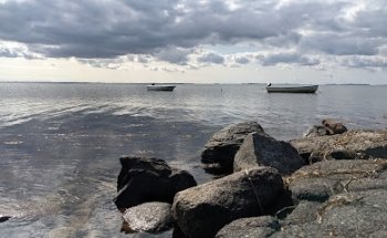 Tårs Vig Vildtreservat