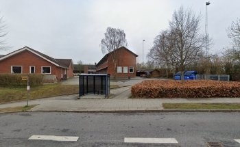 Visdommens Træ