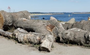 Søfart og Maritime Håndværk Nationalmuseet
