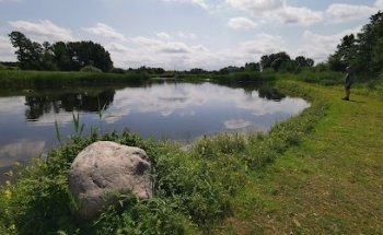 Kværkeby Fuglereservat