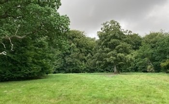 Troldhøje i Strandegårds Dyrehave