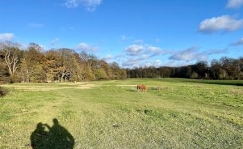 Ermelundssletten