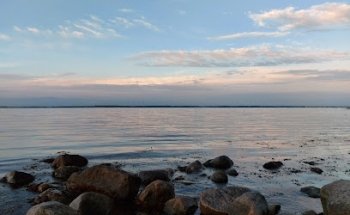 Snorkelstien en Hornbæk Plantage