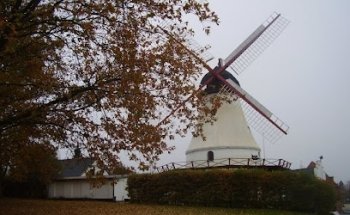 Asociación de Arte de Vejle