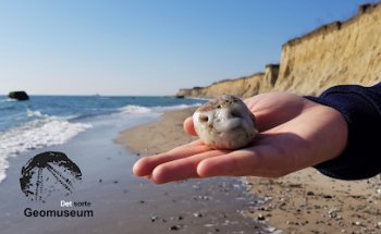 El Museo Geológico Negro