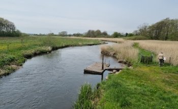 Puente de la Libertad