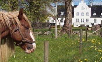 Museo Flynderupgård