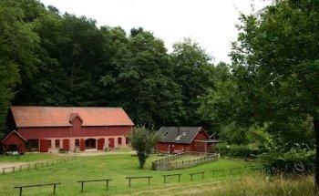 Museo de Randbøldal
