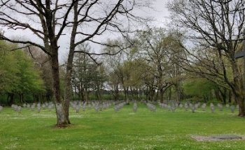 Tumbas de Guerra Danesas