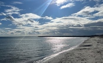 Playa para perros Hundige
