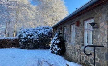 Museo Silkeborg, Blicheregnen