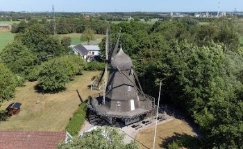 Molino Ølsemagle de Køge