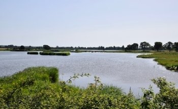 Tåsinge Vejle