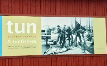 Exposición de Atunes Puerto Odden