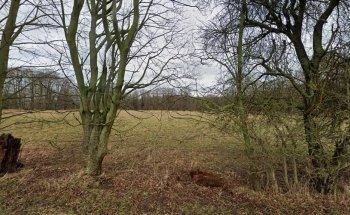 Centro Internacional de Arte y Naturaleza de Tranekaer
