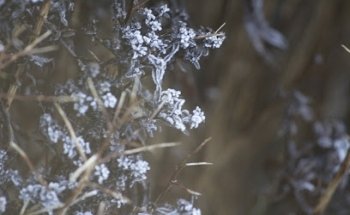 Archivo Local Histórico de Borris