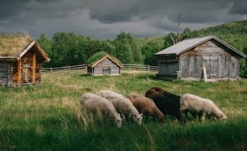 Granja Sami Välimaa