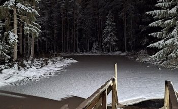 Veteraanitupa