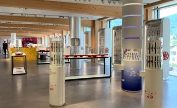 Museo Planet Swatch