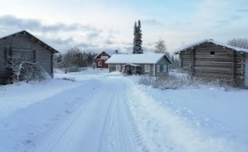 Yläpihan Tila
