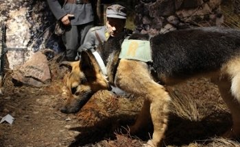 Museo de la Frontera de Imatra