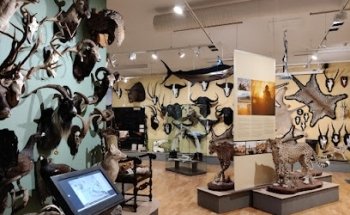 Museo de Caza de Finlandia