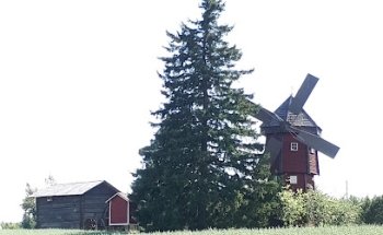 Molino de Viento Tykkä