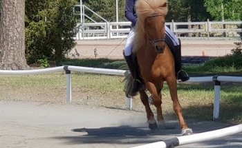 Museo de Carreras de Caballos Finlandeses