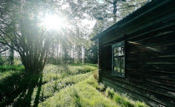 Pieni Viitamäki