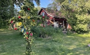 Locura de Midsummer por Juju