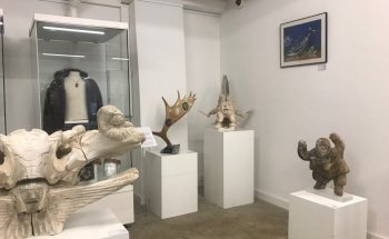 Museo Cerny