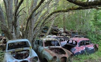 Bilkyrkogården en Båstnäs