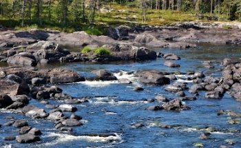 Hannflyströmmarna