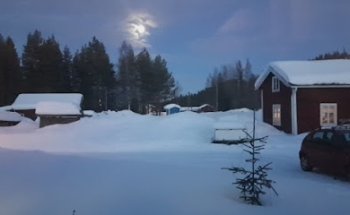 Ringvor i Rengård