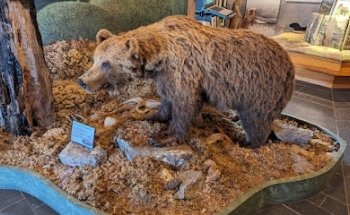 Naturum Ånge y oficina de turismo