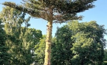 Stora Björstorp Skolbacken