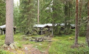 Museo Forestal de Börningsberget