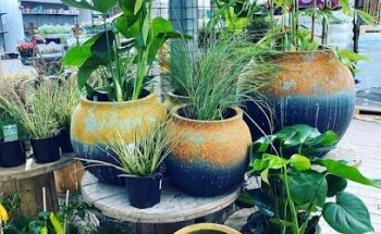 Morlanda handelsträdgård AB [Jardín de Mercado]