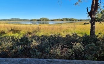 Reserva Natural de Lund