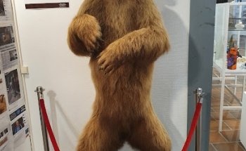 Museo de naturaleza de Rättvik