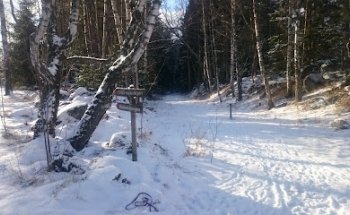 Dalkarlsbacken