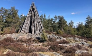 Lönshuvud vårdkasen