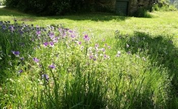 Asociación de Patrimonio de Vårgårda