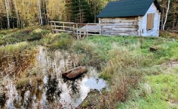 Molino de Ölvedal