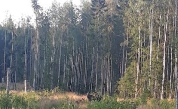 Kvarnskogsvägen