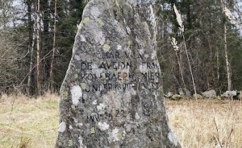 Kårehogens cementerio de cólera