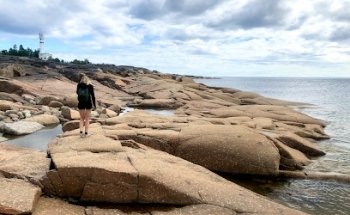 Museo de Surströmming de Fiskevistet